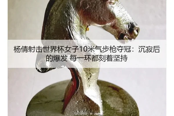 杨倩射击世界杯女子10米气步枪夺冠：沉寂后的爆发 每一环都刻着坚持