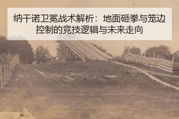 na-gan-nuo-wei-mian-zhan-shu-jie-xi-di-mian-za-quan-yu-long-bian-kong-zhi-de-jing-ji-luo-ji-yu-wei-lai-zou-xiang-2-540.jpg