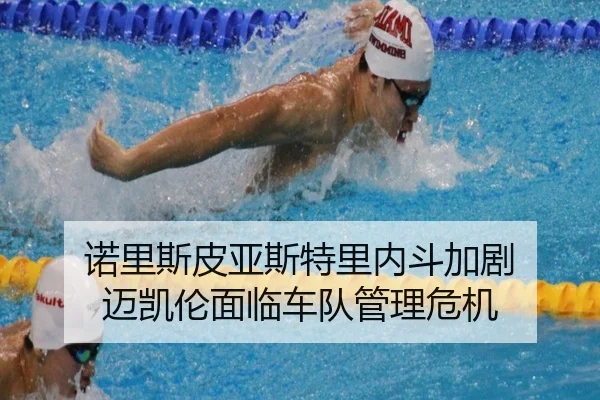 nuo-li-si-pi-ya-si-te-li-nei-dou-jia-ju-mai-kai-lun-mian-lin-che-dui-guan-li-wei-ji-3-139.jpg